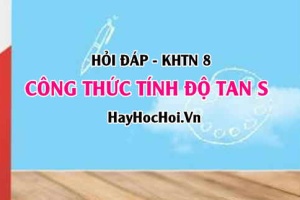 Công thức tính độ tan S (lớp 8) của một chất trong nước? Hỏi đáp Hóa học 8